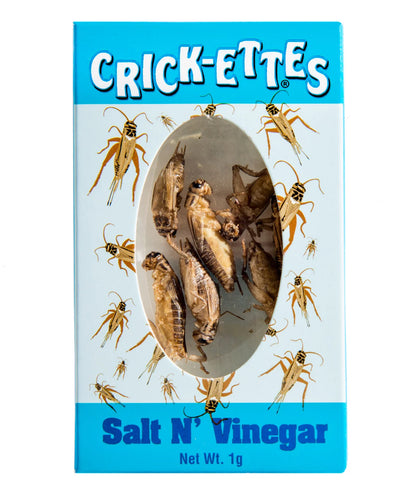 Hotlix Cricket Seasoned Snacks - Set of 3 Boxes (Bacon & Cheddar, Sour Cream & Onion, Salt & Vinegar)