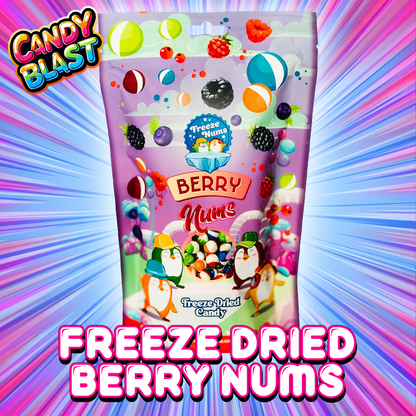 Freeze Nums Freeze Dried Berry Nums